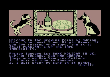 The Growing Pains of Adrian Mole screenshot 3 for Commodore 64
